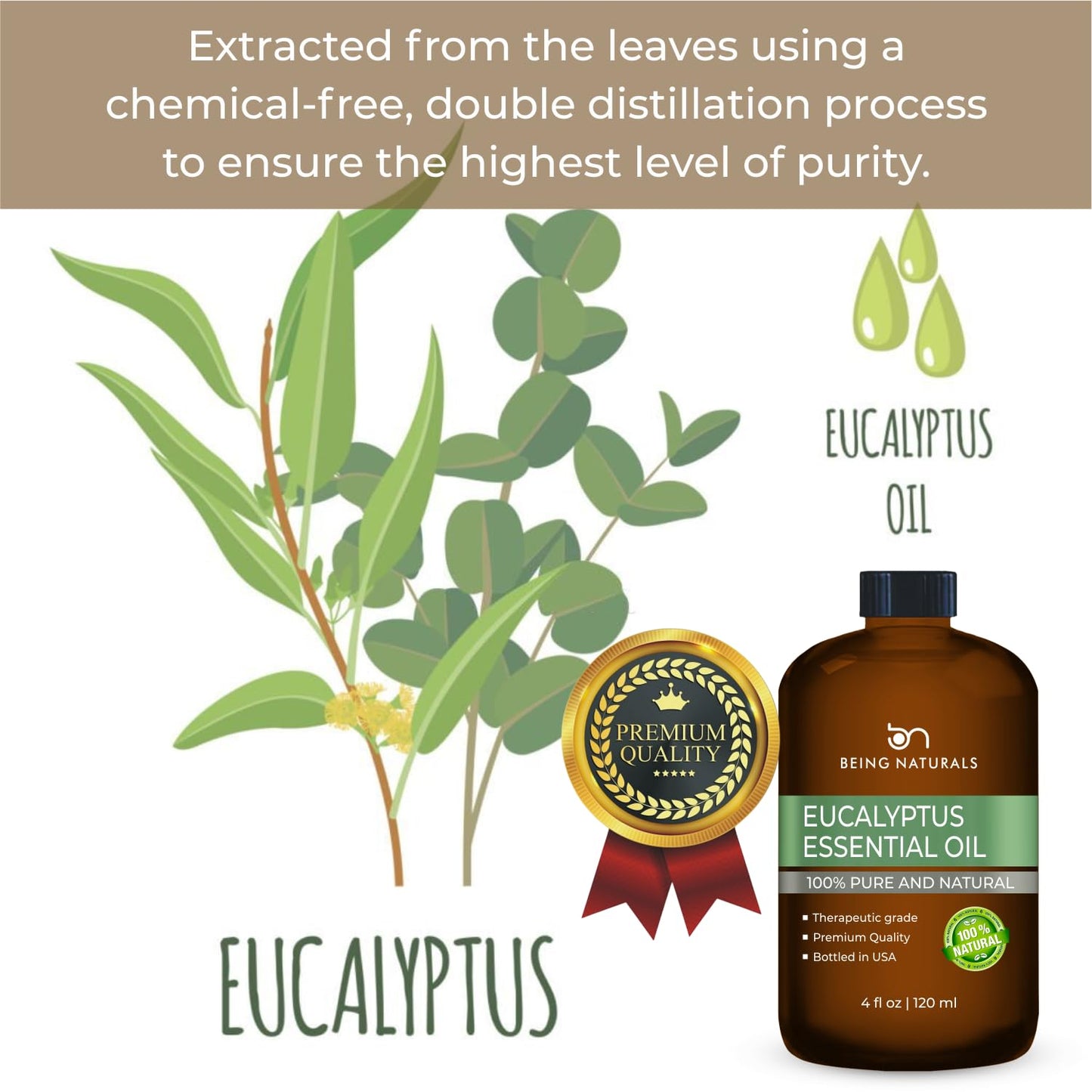 Eucalyptus Essential Oil - 4 fl oz | 100% Pure & Natural with Glass Dropper – Premium Eucalyptus Oil