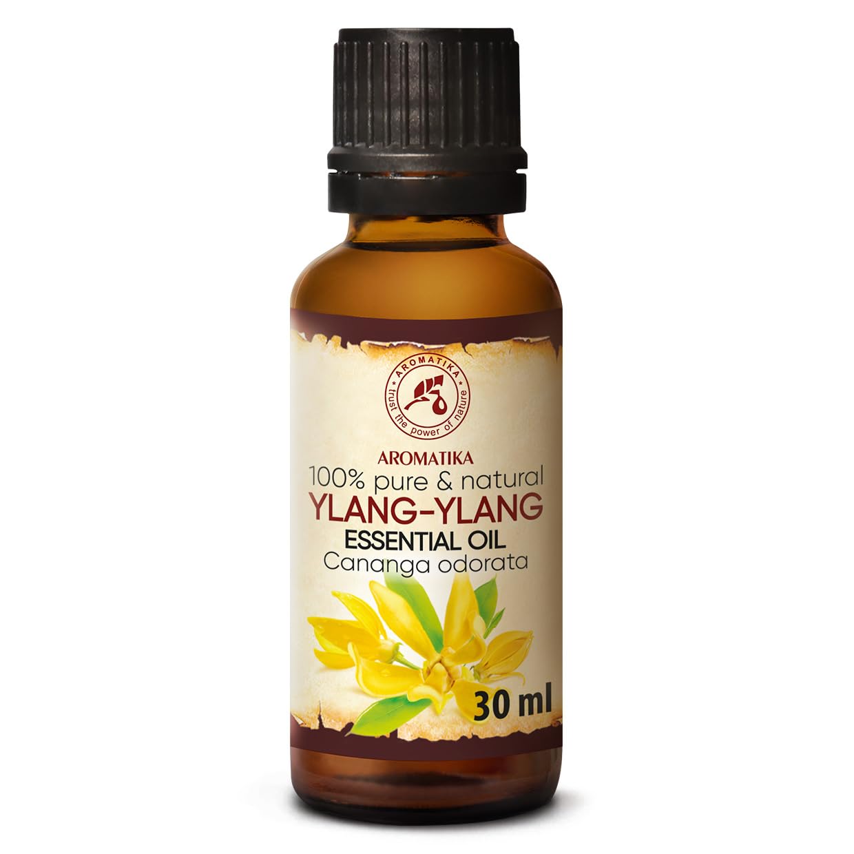 AROMATIKA Ylang Ylang Essential Oil 1.0 Fl Oz – 100% Pure & Natural Cananga Odorata, Madagascar