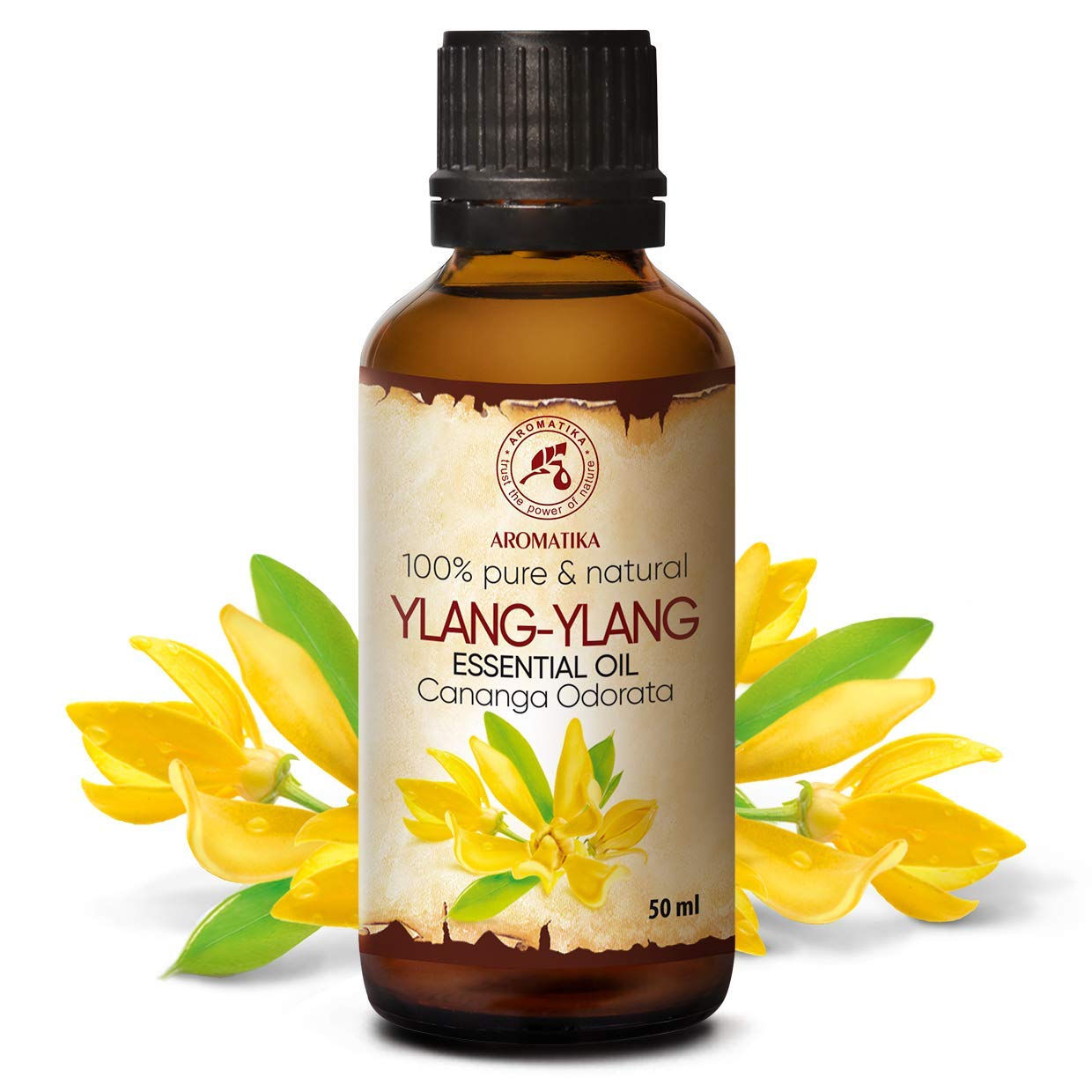 AROMATIKA Ylang-Ylang Essential Oil 1.7 oz – 100% Pure Madagascar Cananga Odorata