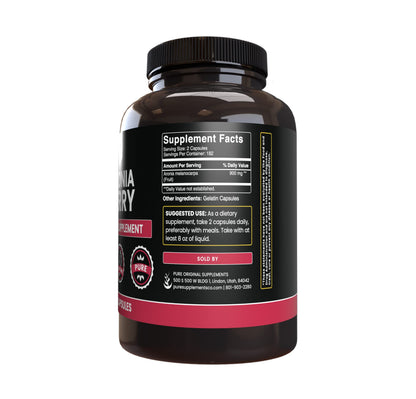 PURE ORIGINAL INGREDIENTS Aronia Berry Extract - 365 Capsules | No Additives