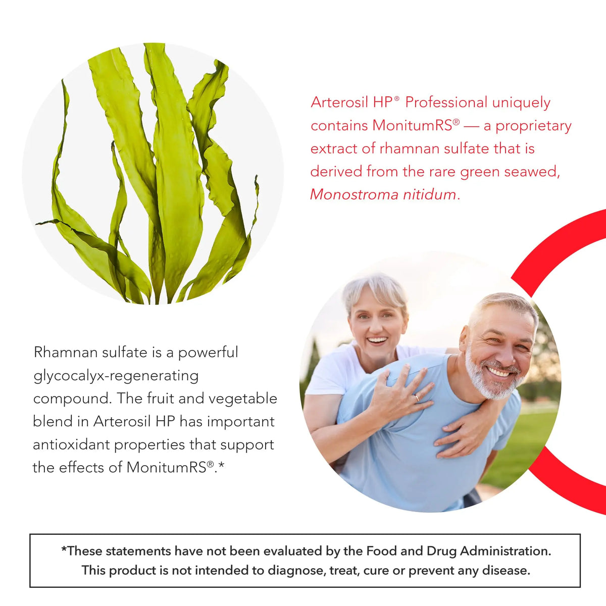 Calroy Arterosil HP Professional – Endothelial Glycocalyx & Circulation Support (MonitumRS®) BritishVita | Premium UK Vitamins & Wellness Supplements