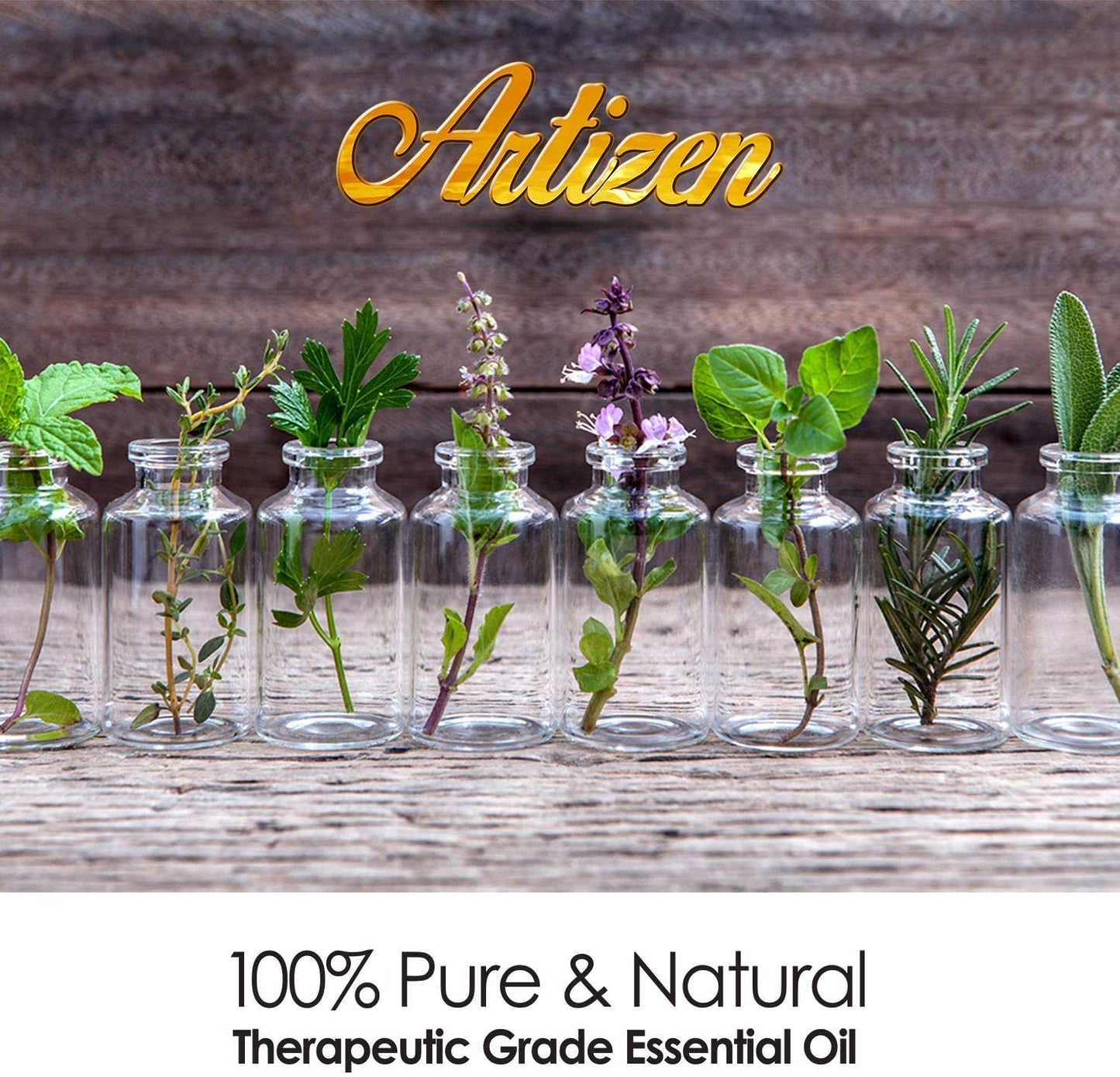 Artizen 30ml Fennel Essential Oil – 1 Fluid Ounce | 100% Pure & Natural