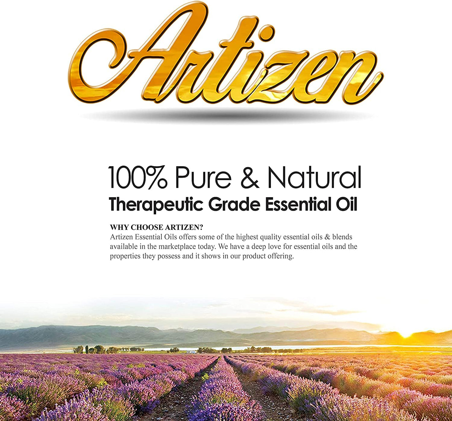 Artizen 30ml Fennel Essential Oil – 1 Fluid Ounce | 100% Pure & Natural