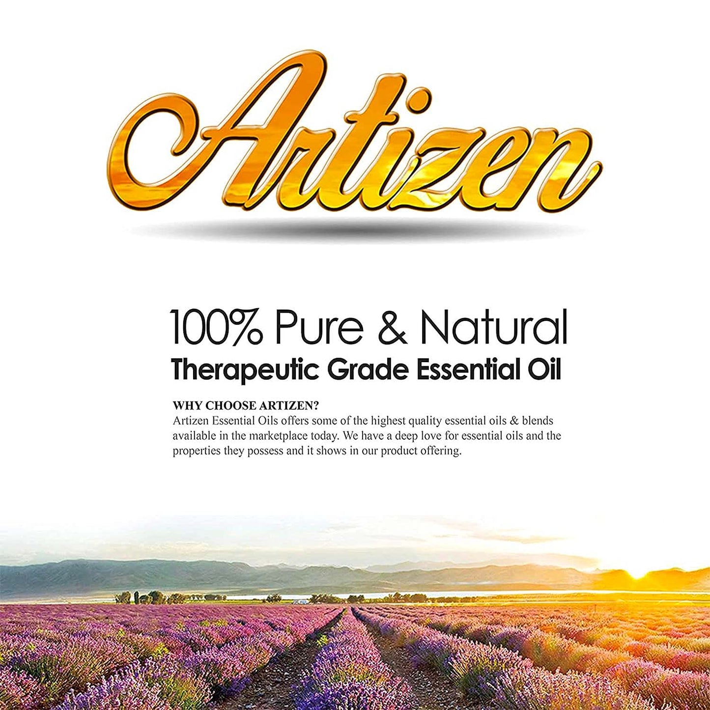 Artizen Ravensara Essential Oil 30ml (1 fl oz) – 100% Pure & Natural
