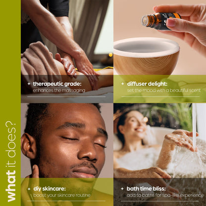 ArtNaturals Aromatherapy Top-6 Essential Oil Set (6x10ml) – Therapeutic Grade