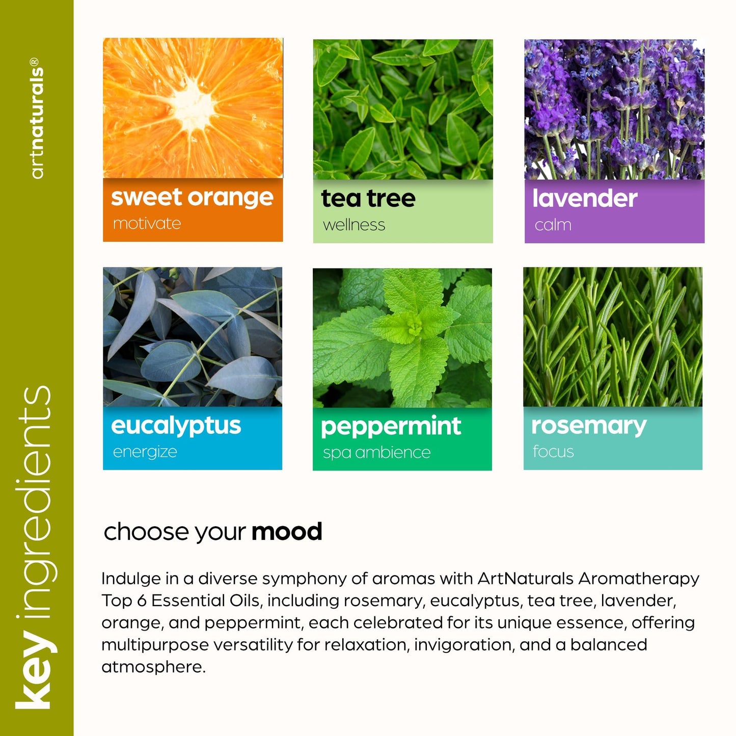 ArtNaturals Aromatherapy Top-6 Essential Oil Set (6x10ml) – Therapeutic Grade