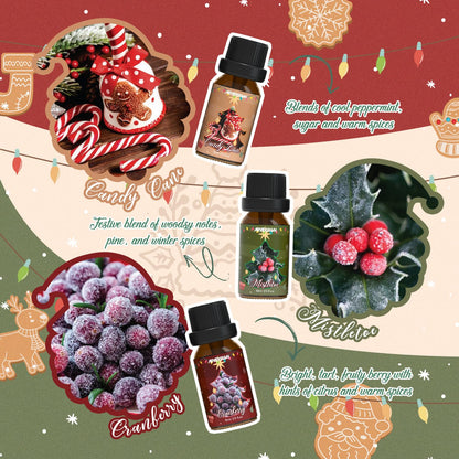 ARVIDSSON Christmas Fragrance Oil Set – Winter Diffuser & Candle Making Oils
