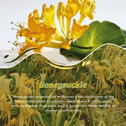 ARVIDSSON Honeysuckle Essential Oil 4 Fl Oz (120ml) - Pure & Natural