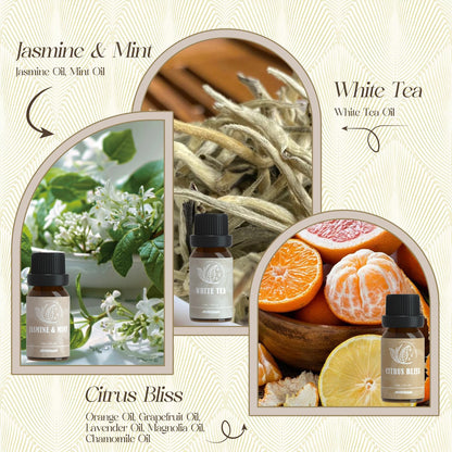 ARVIDSSON Hotel Diffuser Oils Gift Set | Luxury Hotel Scent Oils for Diffusers – Jasmine & Mint, White Tea, Citrus Bliss