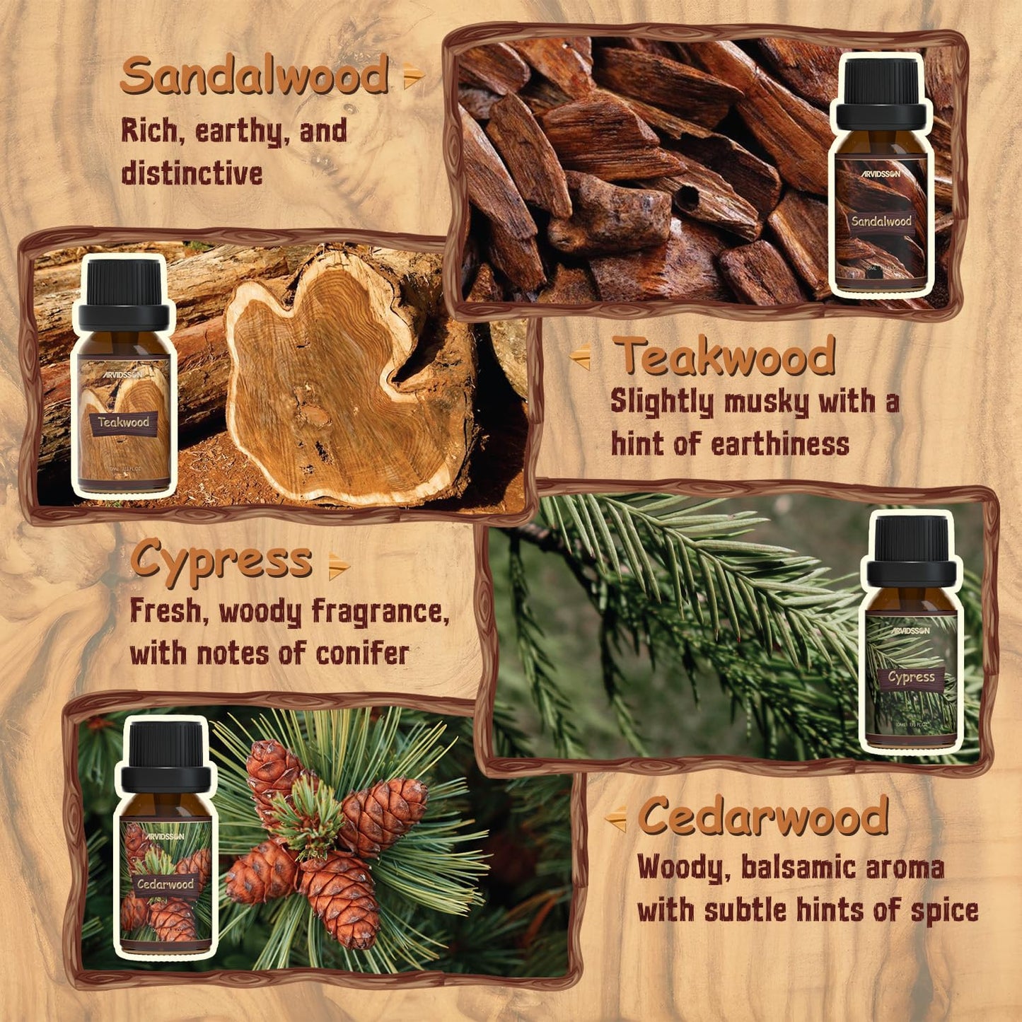 ARVIDSSON Woody Essential Oils Set – 12x10ml Woodsy Oils Gift Set for Diffusers