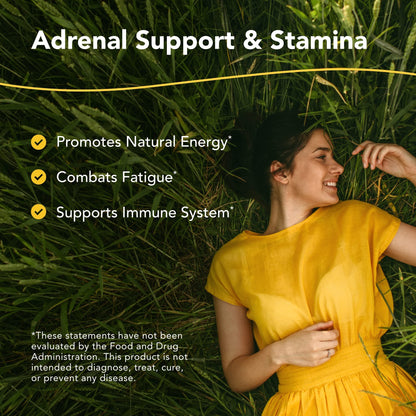 NORTH AMERICAN HERB & SPICE Ashadrene 60 Caps | Herbal Dietary Supplement
