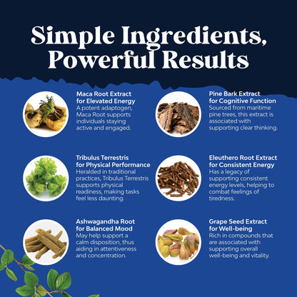 Potent Black Maca Root Capsules for Men - Herbal Wellness (60 Servings)