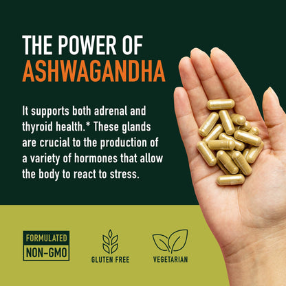 Ashwagandha 1300mg | Stress Resistance & Energy Boost | 120ct Non-GMO