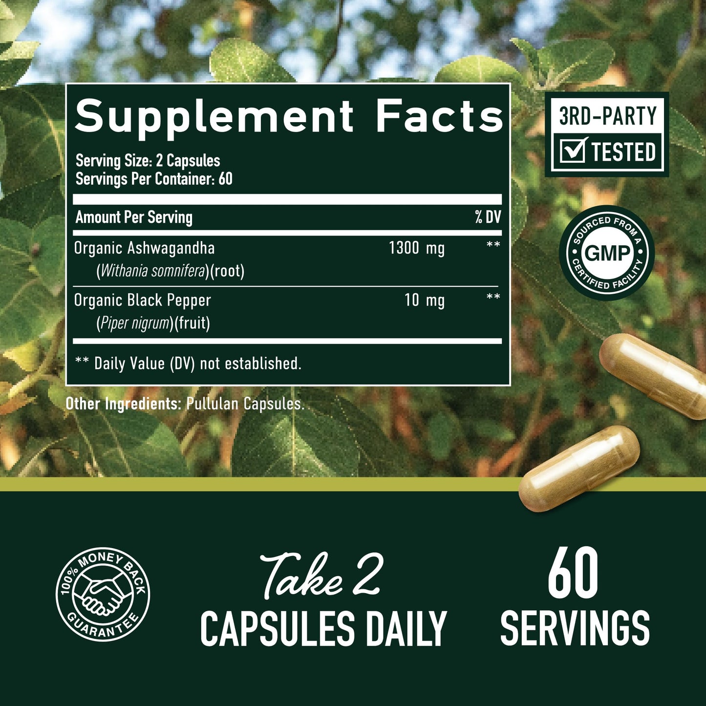 Ashwagandha 1300mg | Stress Resistance & Energy Boost | 120ct Non-GMO