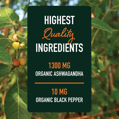 Ashwagandha 1300mg | Stress Resistance & Energy Boost | 120ct Non-GMO