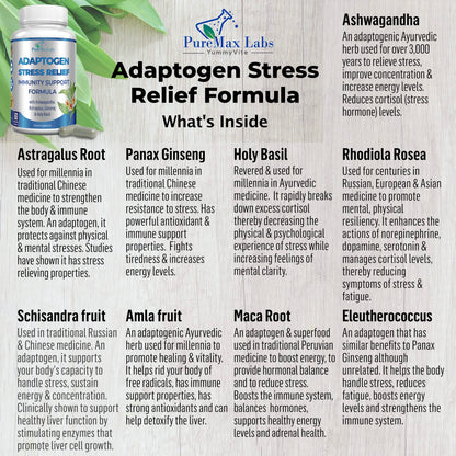 Adaptogen Stress Relief Immune Support Formula - Ashwagandha, Ginseng & 9 Herbs, 60 Capsules (Pack of 2)