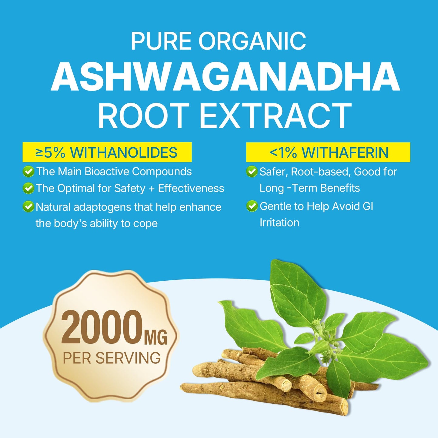 Ashwagandha Gummies 2000mg – Sugar Free, Vegan, Organic | D3, B12, Turmeric – Mixed Berry, 120 Count
