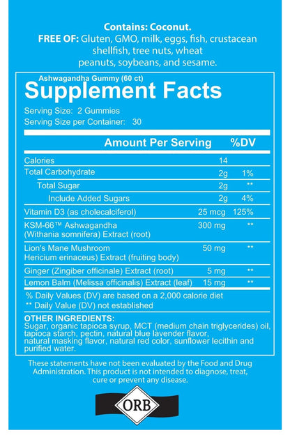 4 Your Wellness Ashwagandha Gummies – Mixed Berry, KSM-66, Lion's Mane, Vitamin D, 120 Count (Pack of 2)