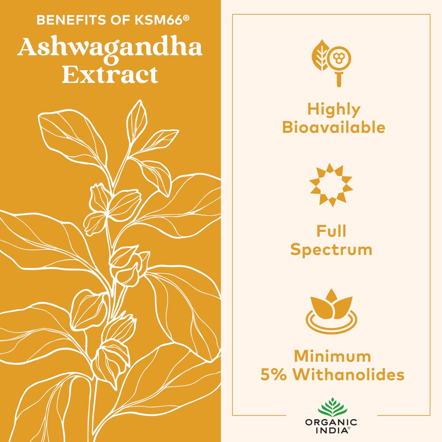 ORGANIC INDIA Ashwagandha Gummies - KSM-66 Stress Support, Lemon Lime, 60 Gummies