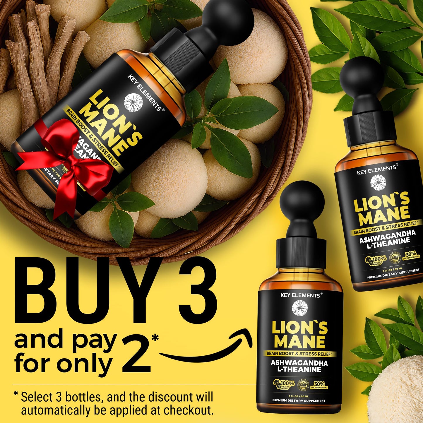 KEY ELEMENTS Lions Mane Extract for Memory, Focus & Brain Health – Tincture with Ashwagandha & L-Theanine