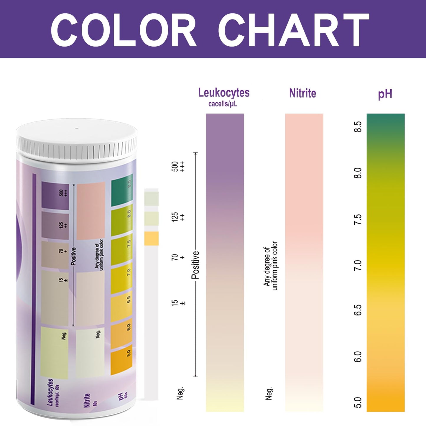 AssuTest UTI Test Strips – 3-in-1 At-Home Urinary Tract Infection Detection (50ct)