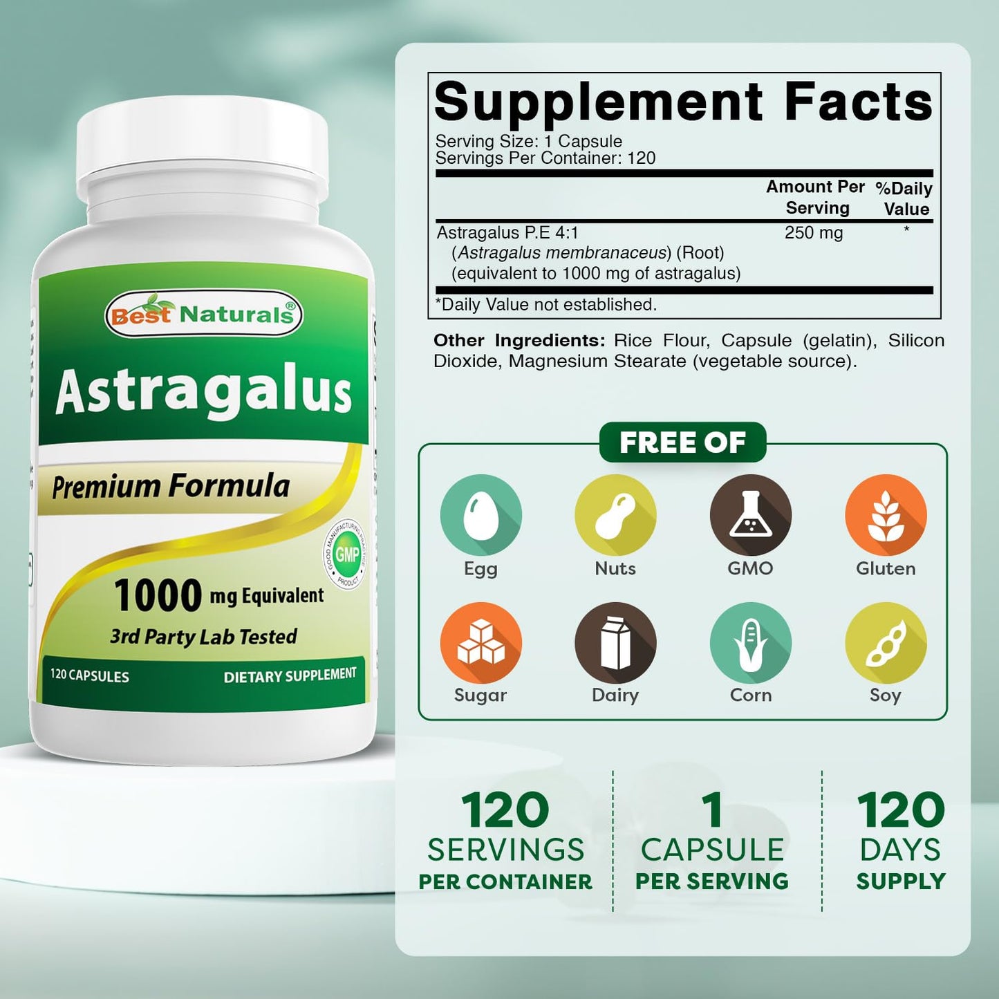 Best Naturals Astragalus Capsule 1000 mg – 120 Count (Pack of 2)