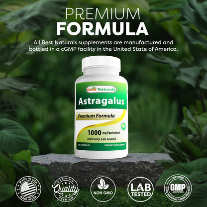 Best Naturals Astragalus Capsule 1000 mg – 120 Count (Pack of 2)