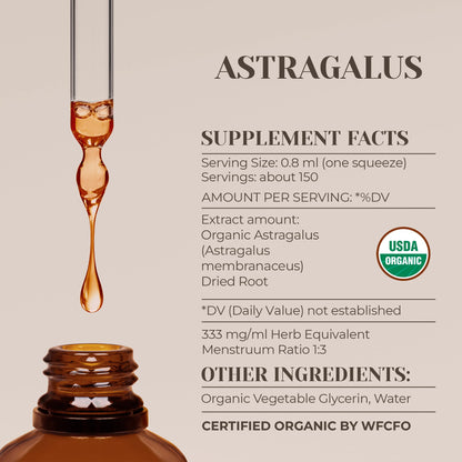 Astragalus Organic Alcohol-Free Extract | High-Potency Tincture (4 oz)