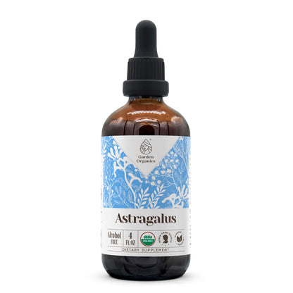 Astragalus Organic Alcohol-Free Extract | High-Potency Tincture (4 oz)