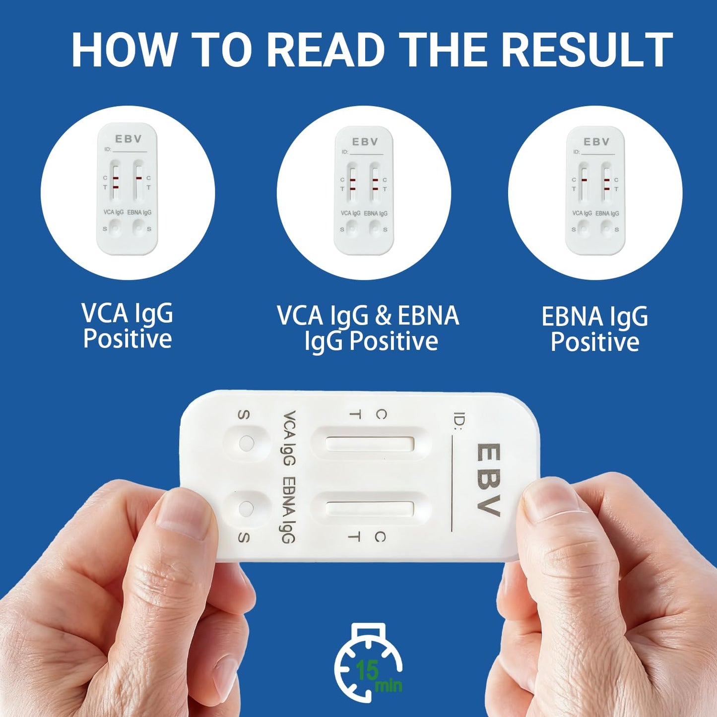 at-Home Epstein-Barr (EBV) Test Kit – Finger-Prick Sample, No Lab Visit Needed – Detects IgG to VCA & EBNA (In Vitro Diagnostic Use Only)