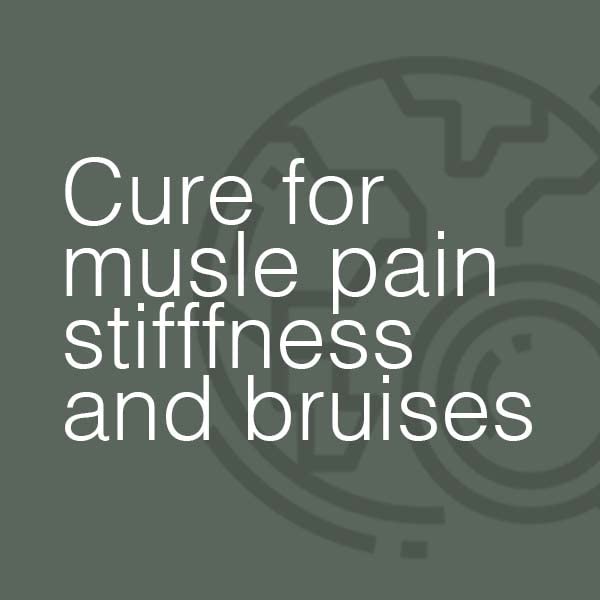 Miers Laboratories Arnica Extra Homeopathic Tablets – Muscle Pain & Aches Relief