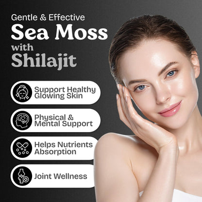Atlantic Naturals Sea Moss + Shilajit Capsules – 5-in-1 Blend with Bladderwrack, Burdock Root & Black Pepper (60 ct, 2705 mg)