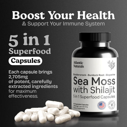 Atlantic Naturals Sea Moss + Shilajit Capsules – 5-in-1 Blend with Bladderwrack, Burdock Root & Black Pepper (60 ct, 2705 mg)