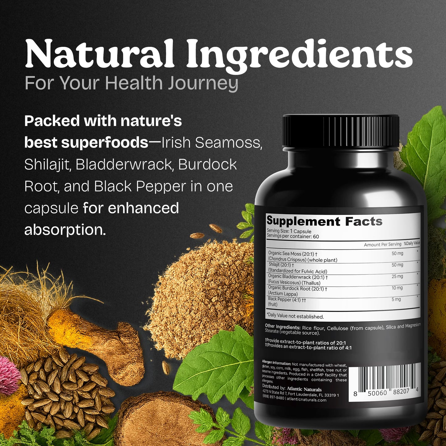 Atlantic Naturals Sea Moss + Shilajit Capsules – 5-in-1 Blend with Bladderwrack, Burdock Root & Black Pepper (60 ct, 2705 mg)