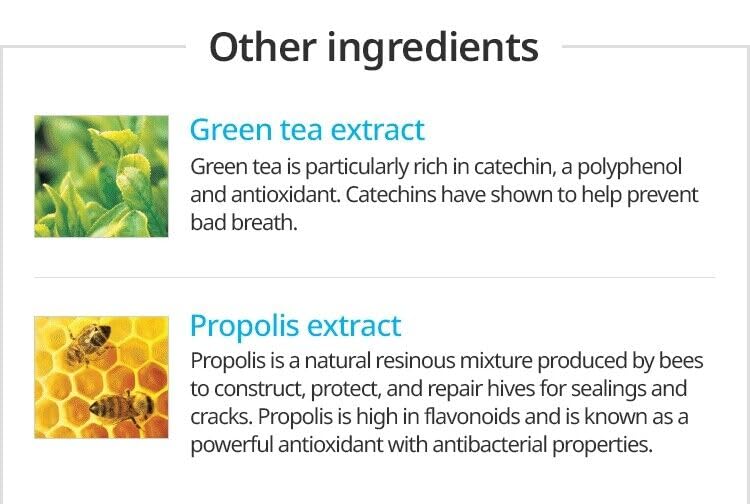 Atomy Toothpaste Propolis 5-Pack (5 x 7.05 oz) – Fluoride Toothpaste