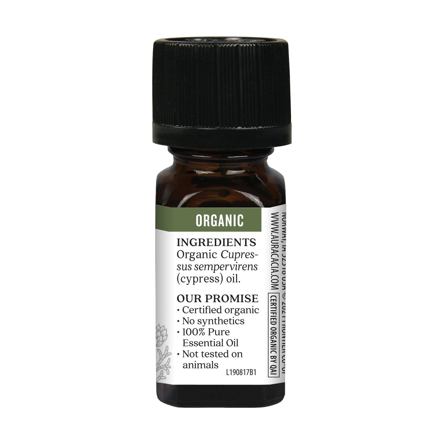 Aura Cacia Organic Cypress Essential Oil, GC/MS Tested for Purity, 7.4 ml