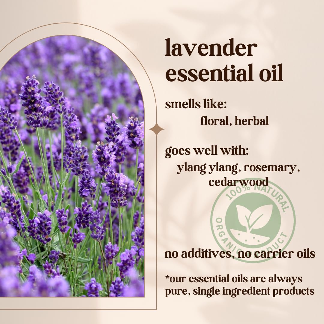 Avivni French Lavender Essential Oil – 100% Pure & Natural (0.33oz / 10ml)