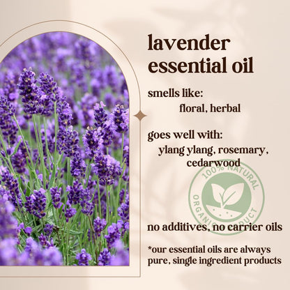 Avivni French Lavender Essential Oil – 100% Pure & Natural (0.33oz / 10ml)