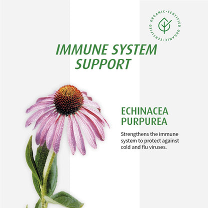 AVogel Echinaforce Junior Chewable Tabs – Organic Echinacea for Kids | Immune Support | 90 Tabs