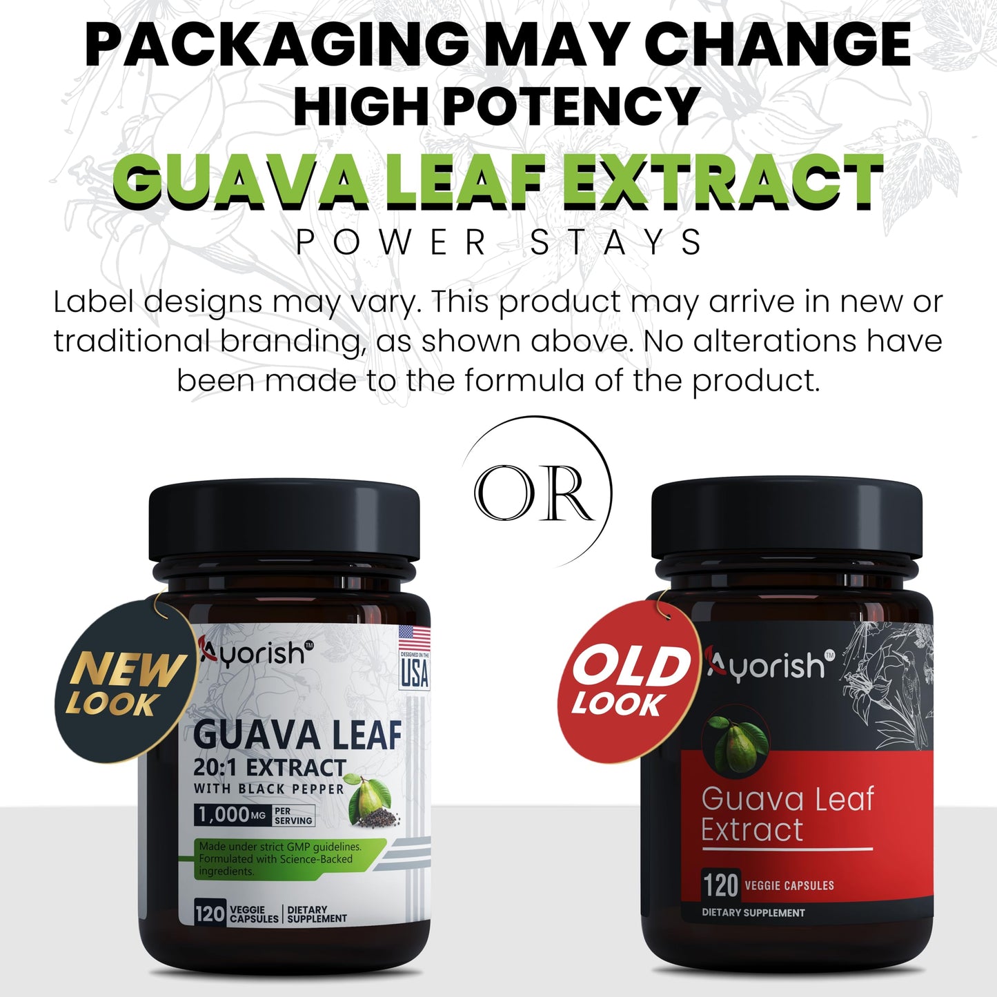 Ayorish Guava Leaf Extract 1000mg (20:1) with Piperine – 120 Veggie Caps (60-Day Supply)