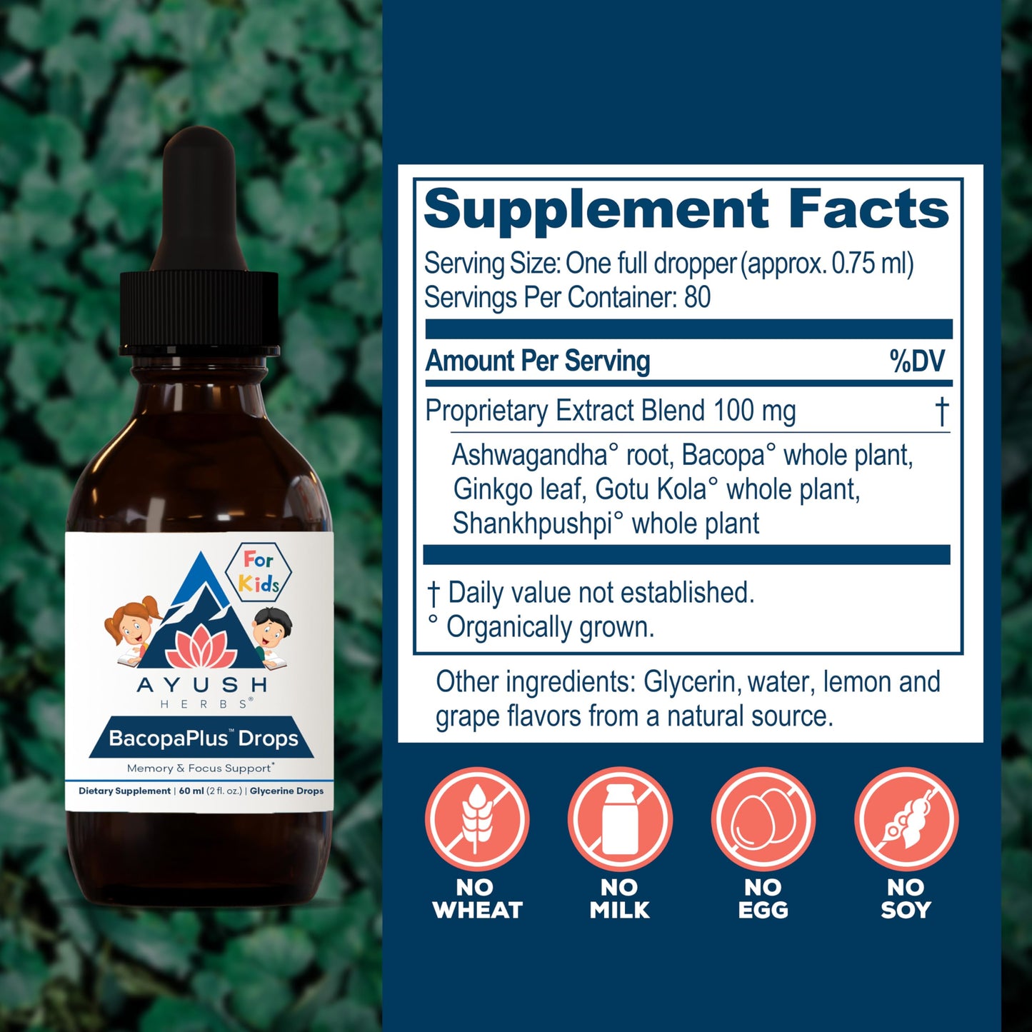 Ayush Herbs BacopaPlus Drops for Kids – Focus & Memory Support