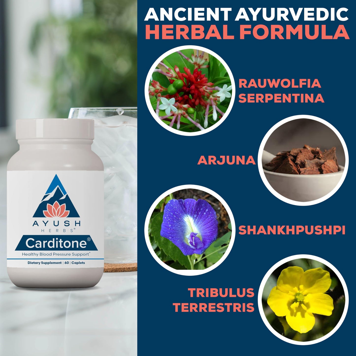 Ayush Herbs Carditone - Natural Heart Health Support with Rauwolfia, Arjuna, Calcium & Magnesium - 60 Vegetarian Caplets