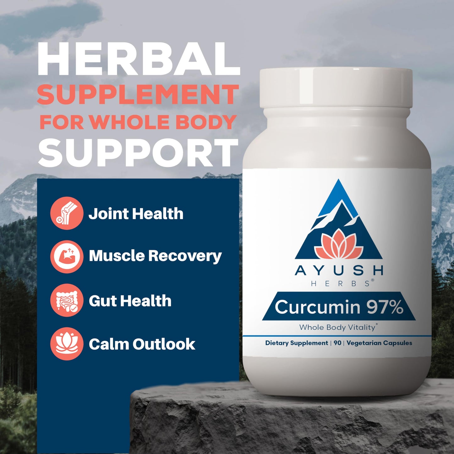 Ayush Herbs Curcumin 97% – Premium Turmeric Curcuminoids, Joint Support, 90 Veg Capsules