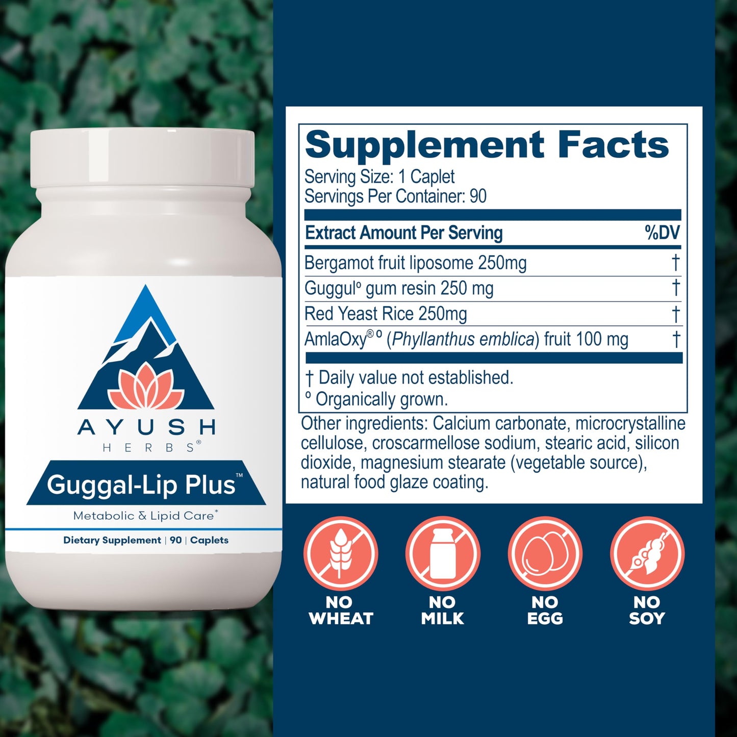 Ayush Herbs Guggal-Lip Plus – Metabolic Health Supplement for Men & Women, 90 Caplets