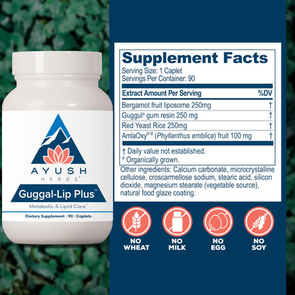 Ayush Herbs Guggal-Lip Plus – Metabolic Health Supplement for Men & Women, 90 Caplets
