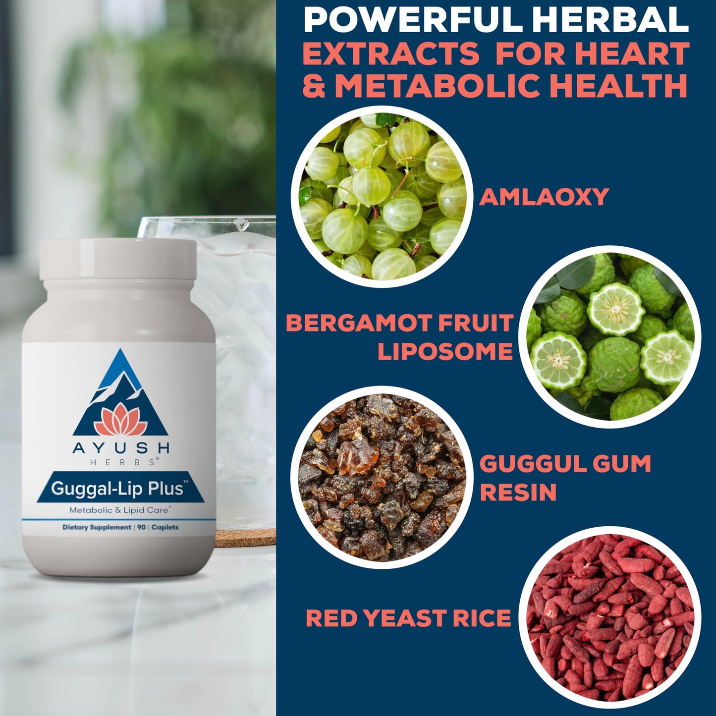 Ayush Herbs Guggal-Lip Plus – Metabolic Health Supplement for Men & Women, 90 Caplets