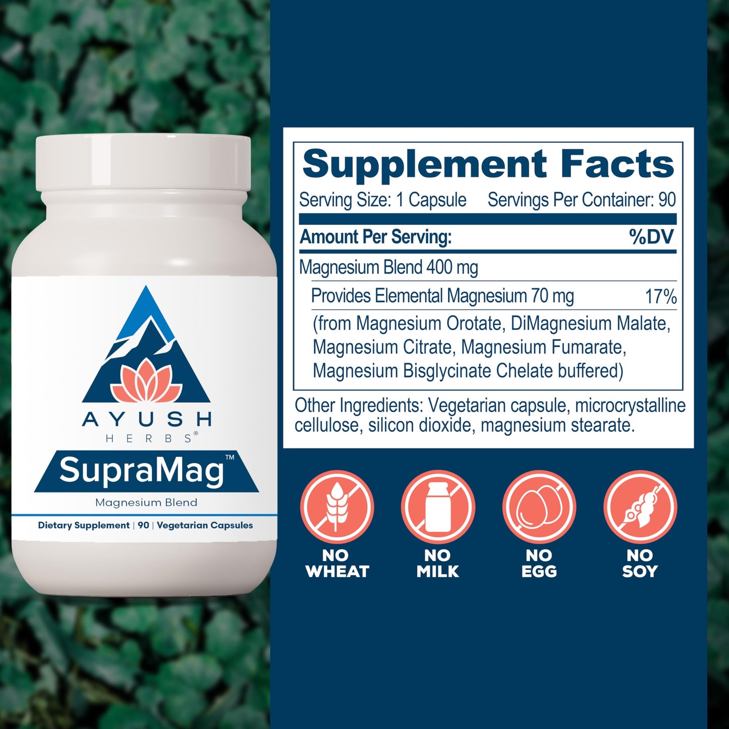 Ayush Herbs SupraMag - 400 mg Magnesium Blend | Chelated Bisglycinate, Citrate & Ororate | 90 Veg Capsules