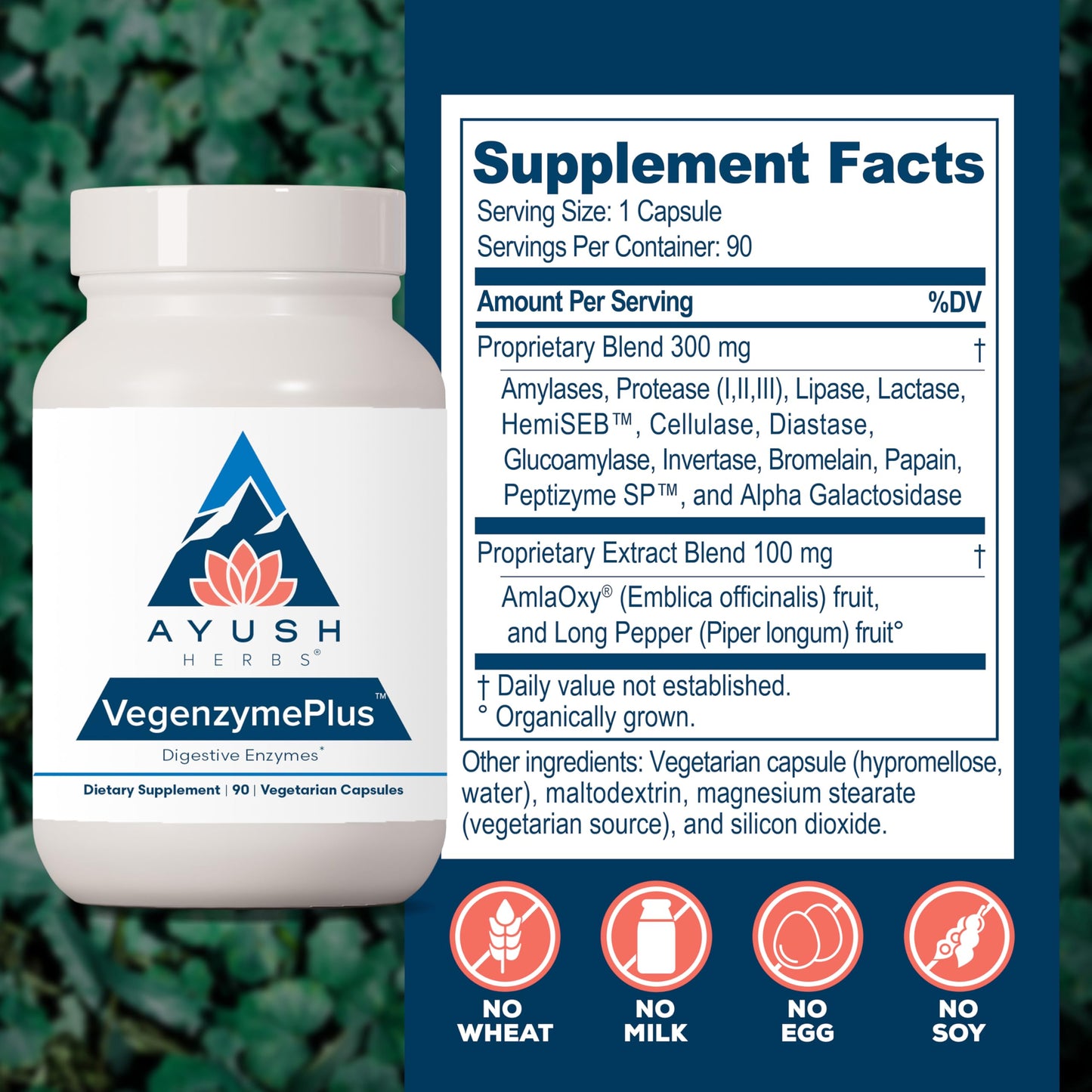 Ayush Herbs VegenzymePlus - Digestive Enzymes for Gut Health (60 Capsules)
