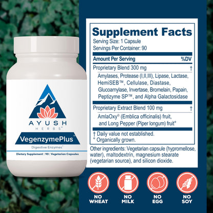 Ayush Herbs VegenzymePlus - Digestive Enzymes for Gut Health (60 Capsules)
