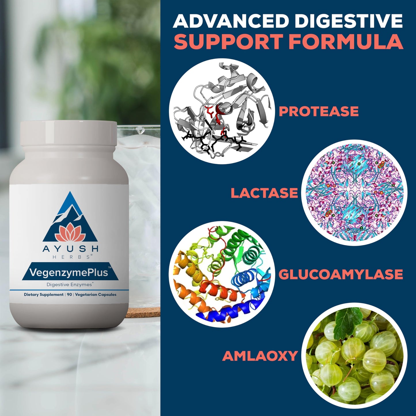 Ayush Herbs VegenzymePlus - Digestive Enzymes for Gut Health (60 Capsules)